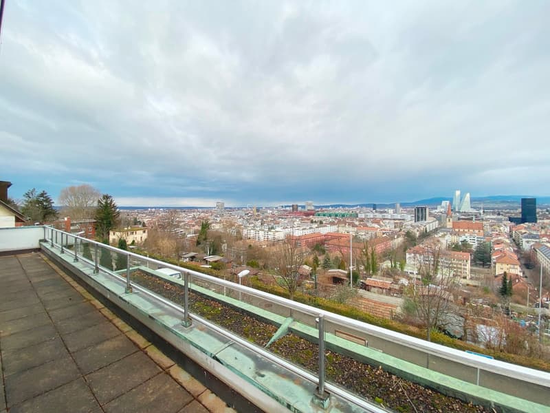 Attikawohnung mit bester Aussicht (12)
