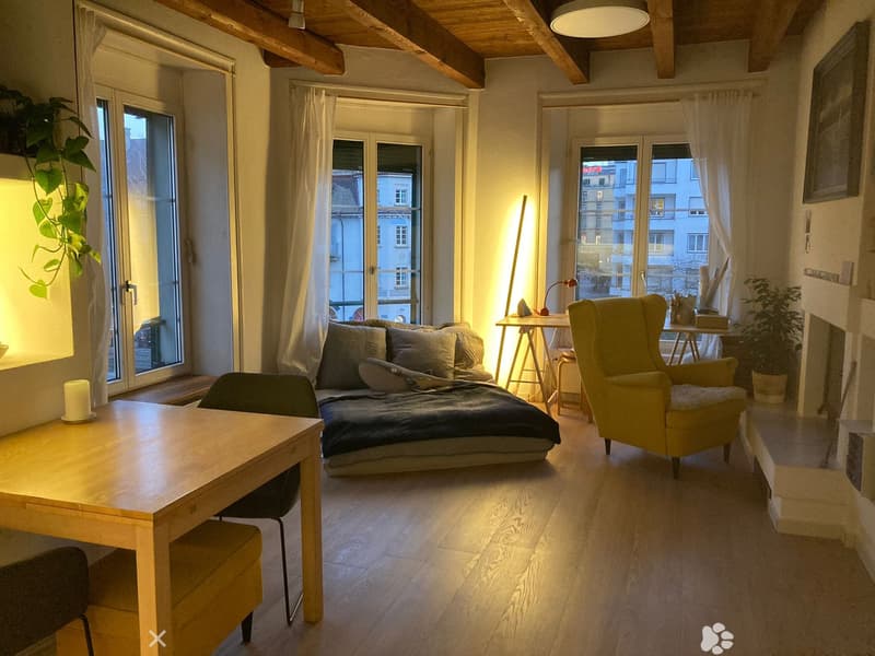 Charmante Altbauwohnung I Charmant appartement ancien (2)