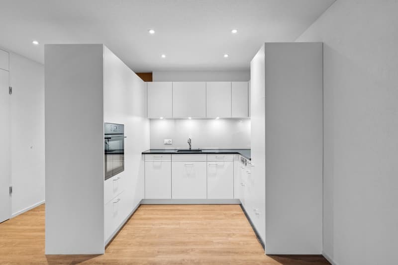 modern kitchen with white cabinets, wooden floor, black countertops, integrated oven, dishwasher, sink, faucet