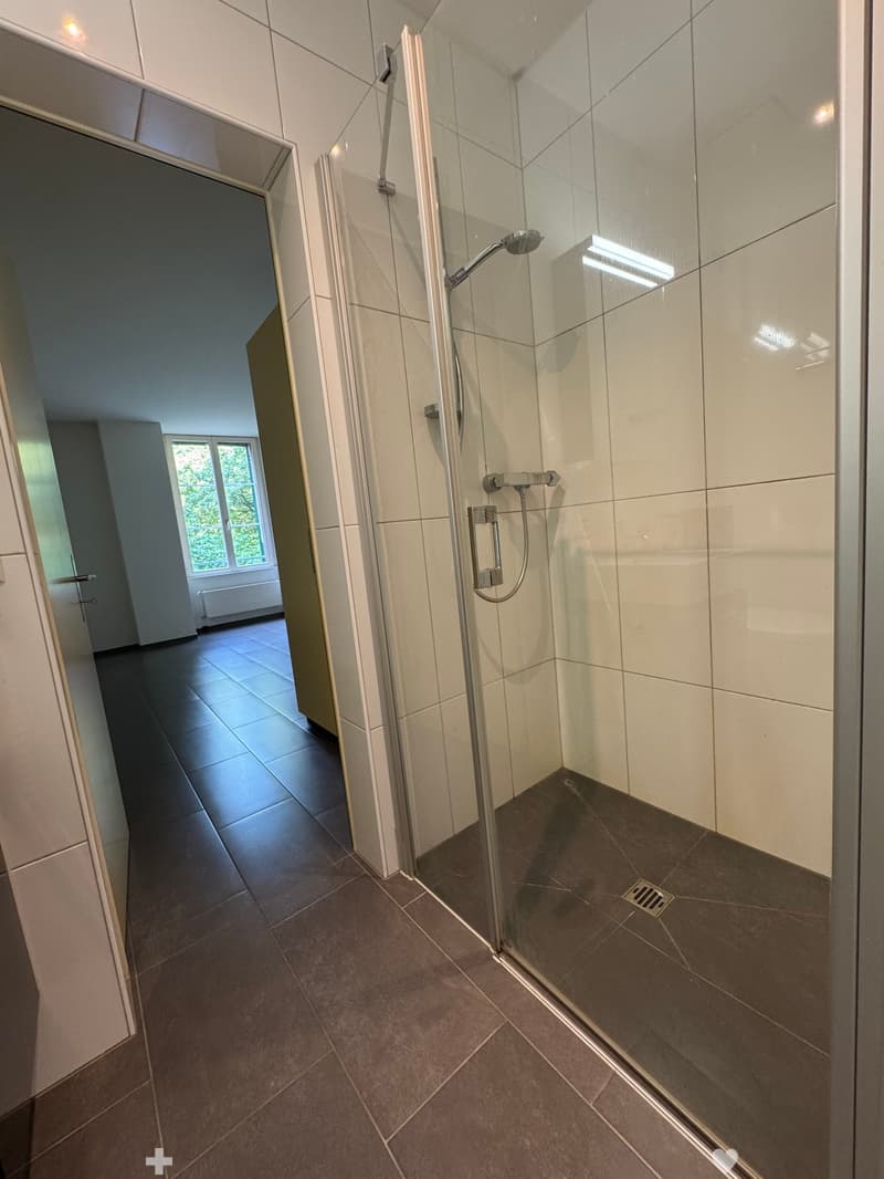 Renovierte 2.5-Zimmer-Altbauwohnung / Appartement rénové de 2,5 pièces (7)