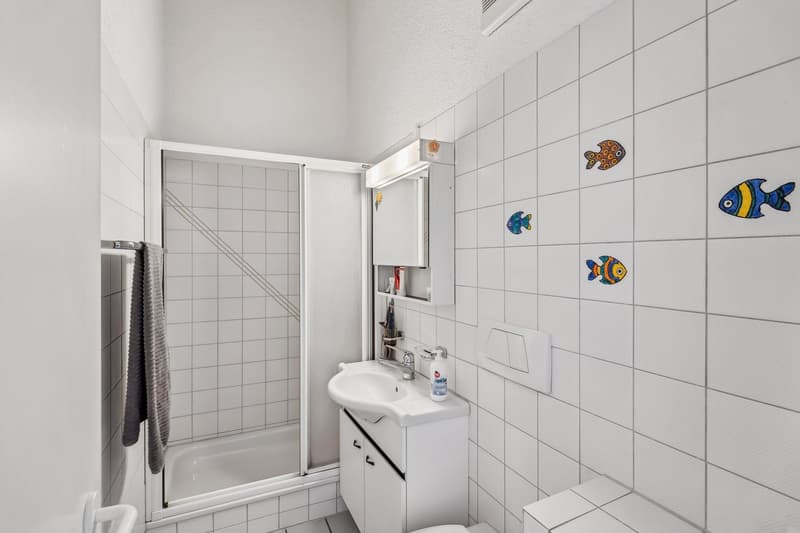 Charmante Dachwohnung mit Weitsicht (10)
