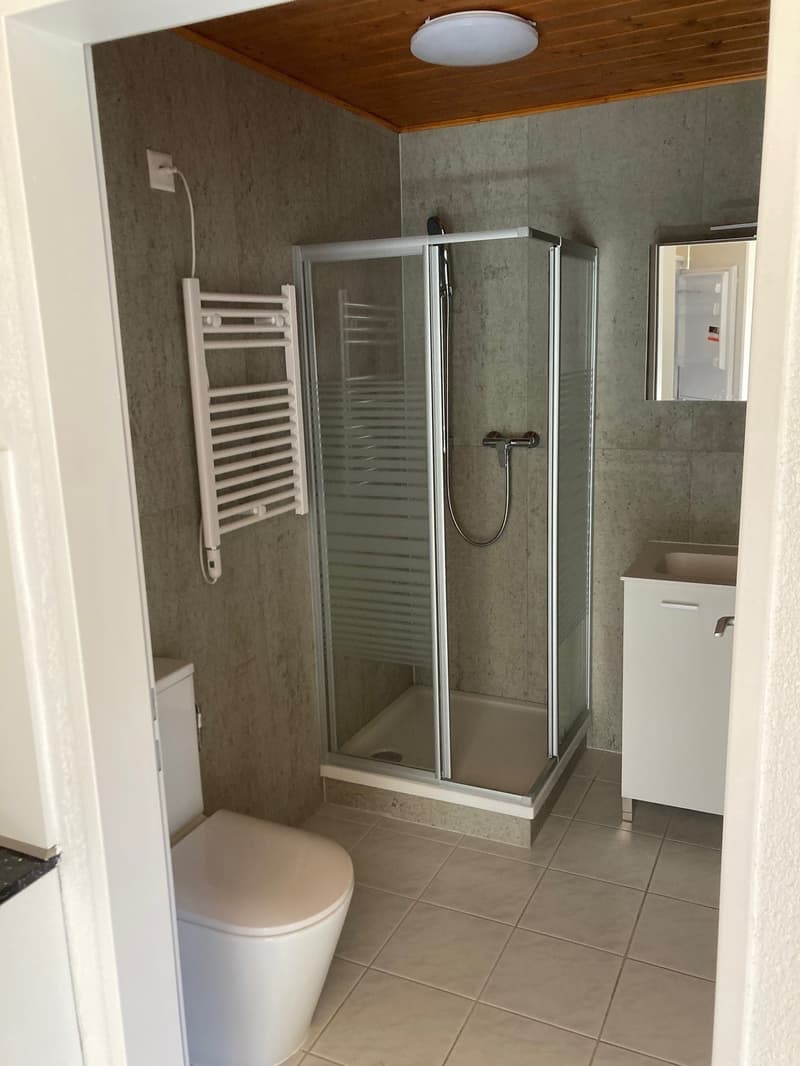 Appartement de 1,5 pièce lumineux et confortable (4)