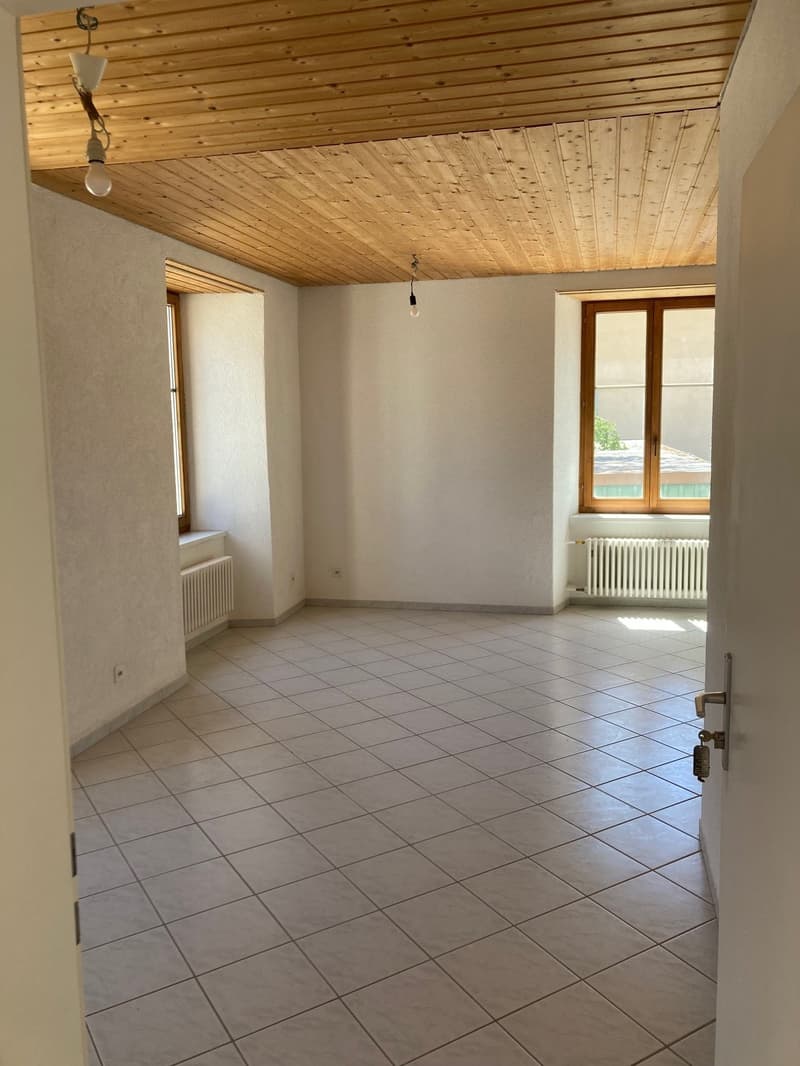 Appartement de 1,5 pièce lumineux et confortable (2)