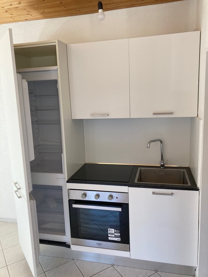 Appartement de 1,5 pièce lumineux et confortable (5)