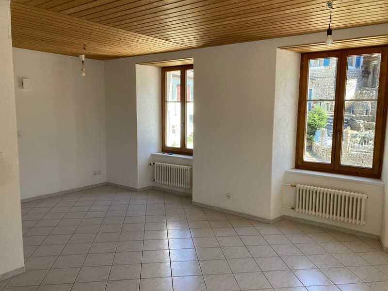 Appartement de 1,5 pièce lumineux et confortable (3)