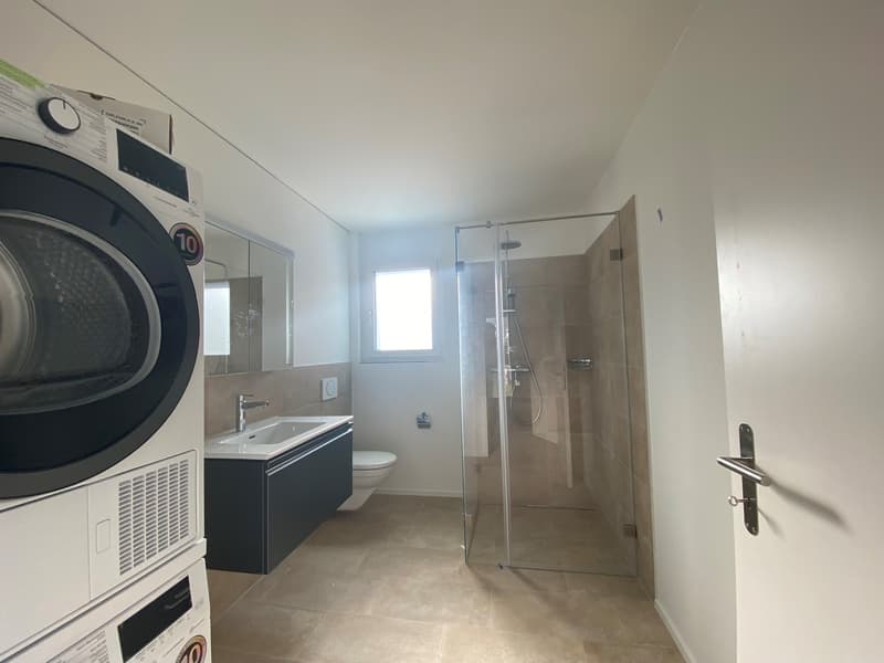 washer and dryer, sink, shower, toilet