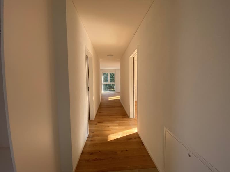 Wooden floor, white walls, glass window, hallway to rooms.