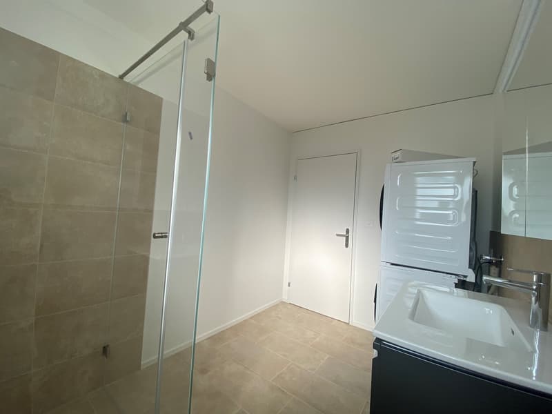 tiled shower, white sink, white cabinet, white washing machine, glass door