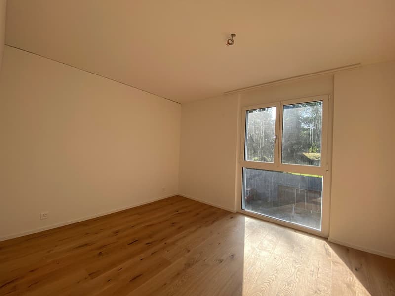 empty room, wooden floor, white walls, large glass window, ceiling light