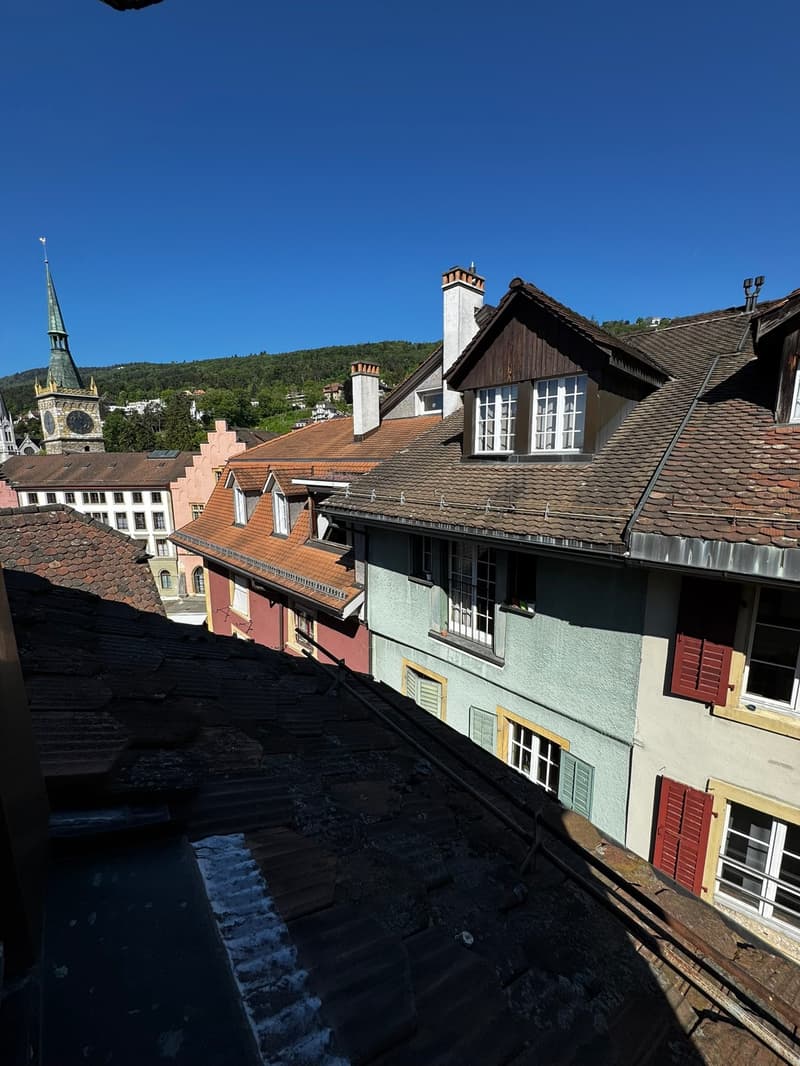 Aussicht Zimmer / Vue depuis la chambre