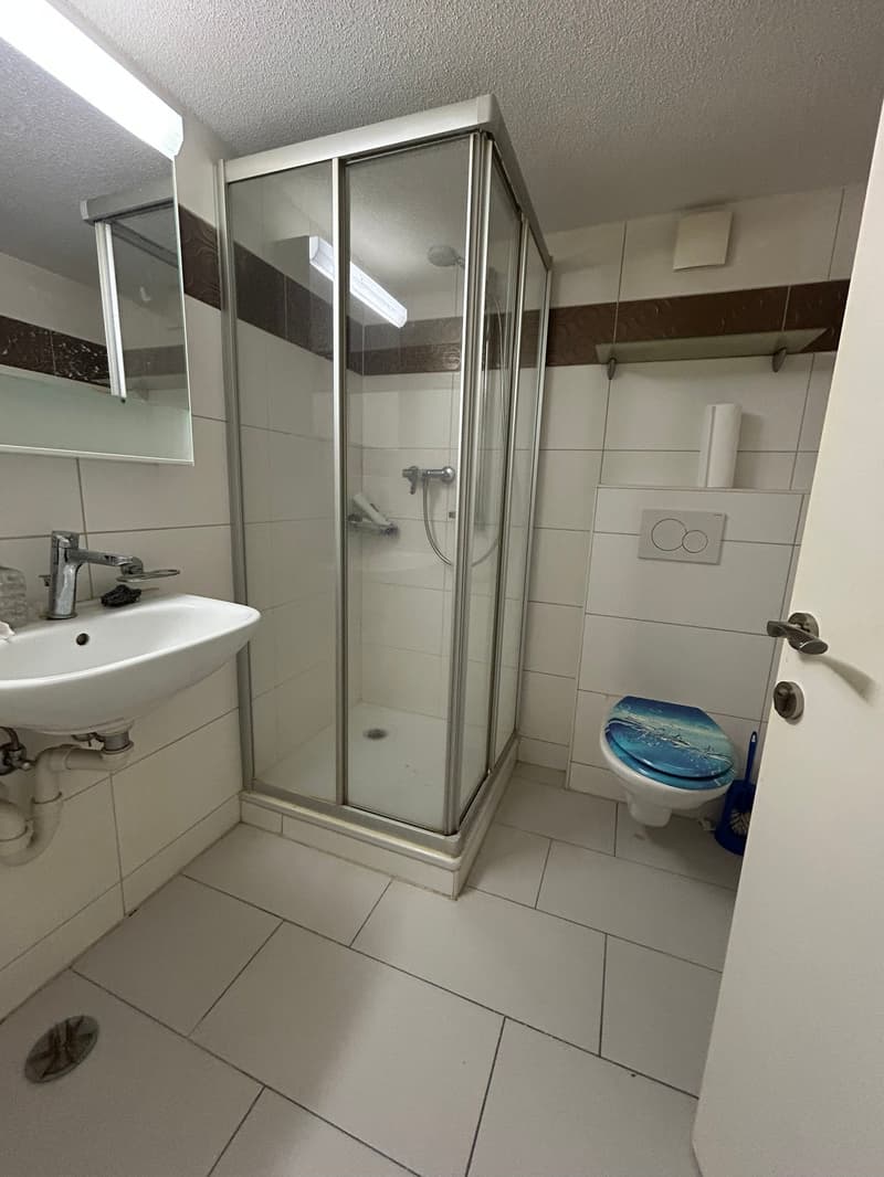 Appartement charmant de 2,5 pièces avec espace de jardin en ville (5)