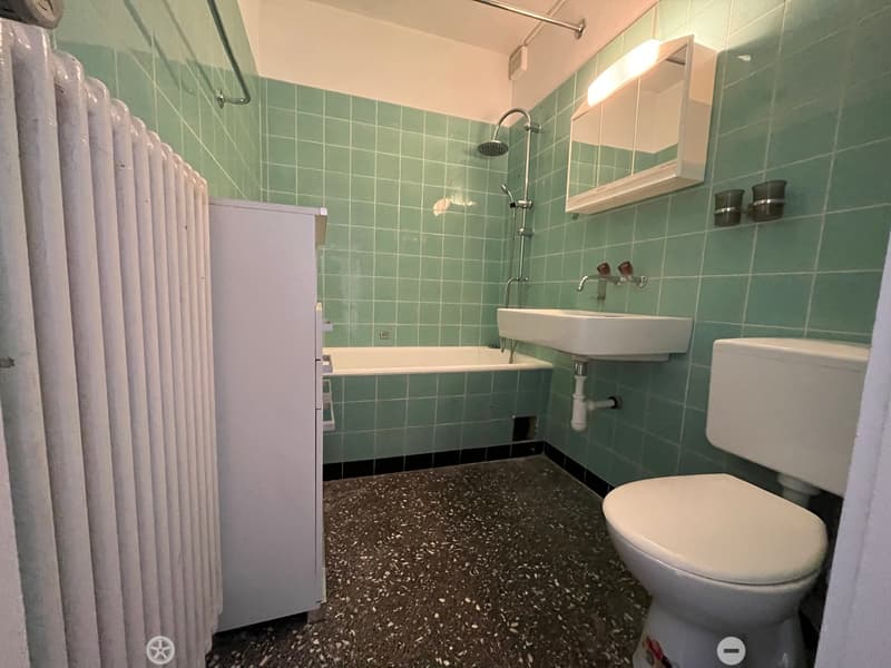 MFH mit grossem Mietzinspotenzial (6)