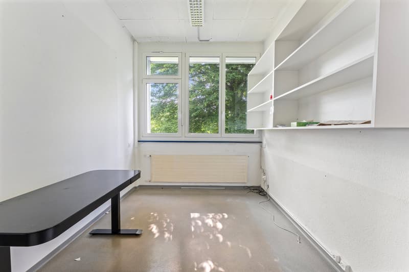 Vielseitige Gewerbeimmobilie mit Einliegerwohnung in Bettlach zu verkaufen (3)