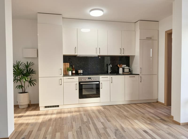 Charmante Studio-Wohnung am Rossmarktplatz in Solothurn (2)