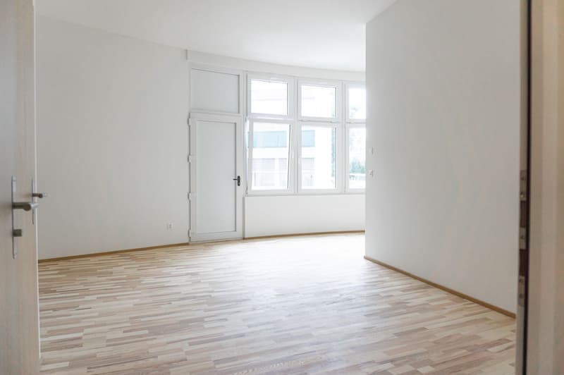 Grosse Studiowohnung mit Balkon mitten in Solothurn (2)