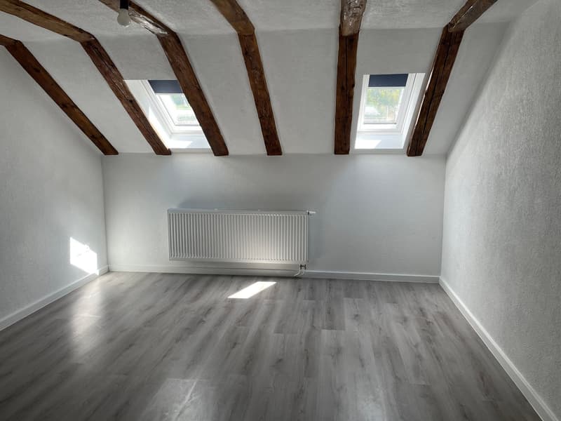 Première mise en location: 1er mois de location gratuite! (5)