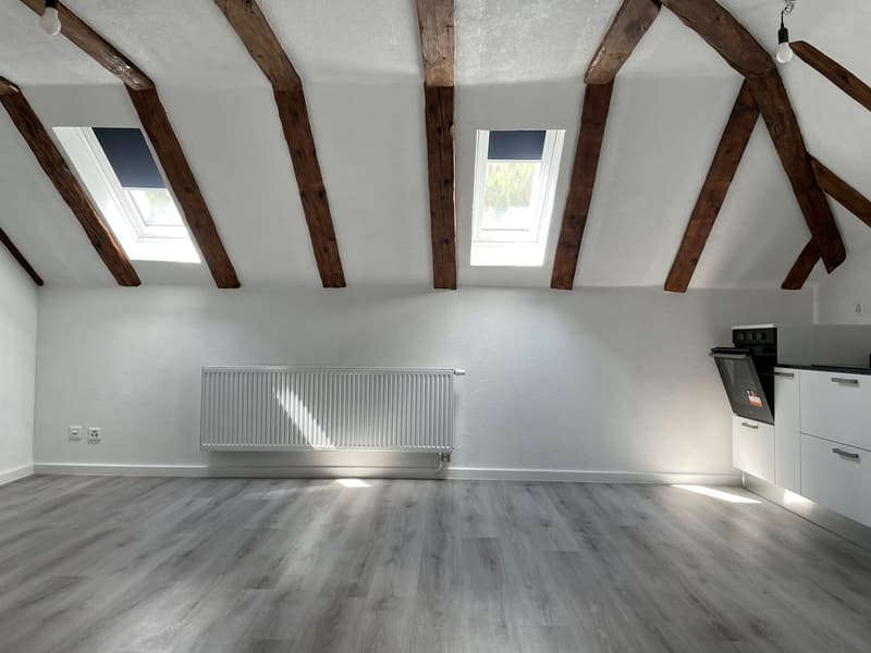 Première mise en location: 1er mois de location gratuite! (7)