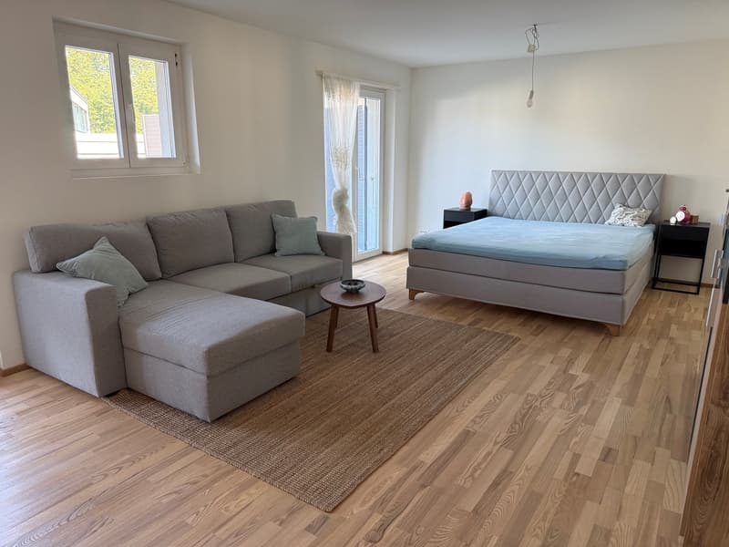 Möblierte 1-Zimmerwohnung im Solothurner Zentrum (4)