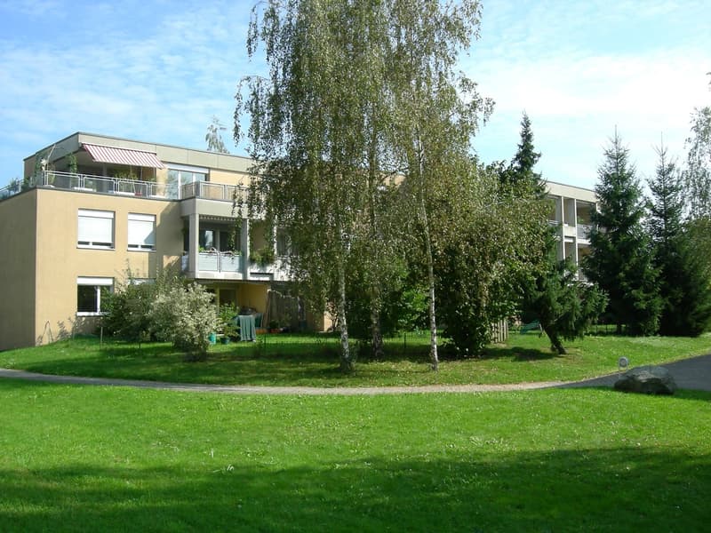 Gemütliche, sanierte 2.5-Zimmerwohnung mit Balkon (1)