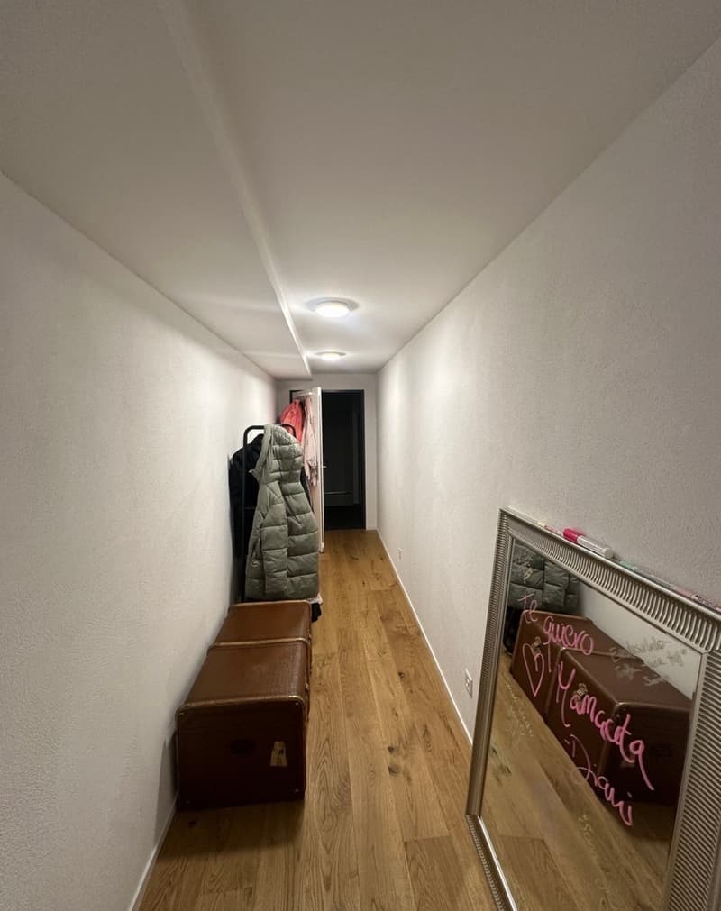 Empty hallway with wooden floor, white walls, two ceiling lights, mirror, and a rack with clothes