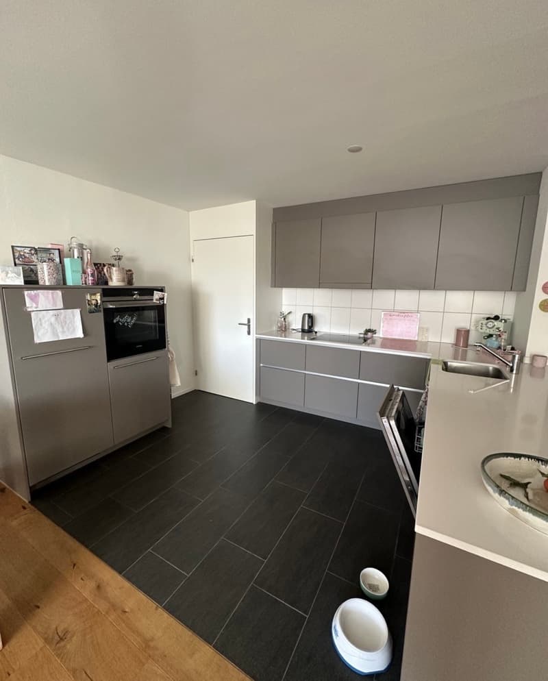 modern kitchen with gray cabinets, black tiled floor, stainless steel appliances, sink, dishwasher, refrigerator, oven, countertop, dog bowls