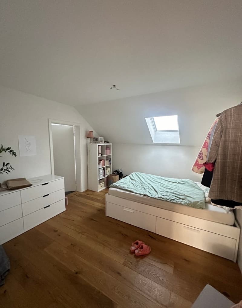 bedroom with bed, white furniture, wooden floor, skylight, storage boxes, books, plant