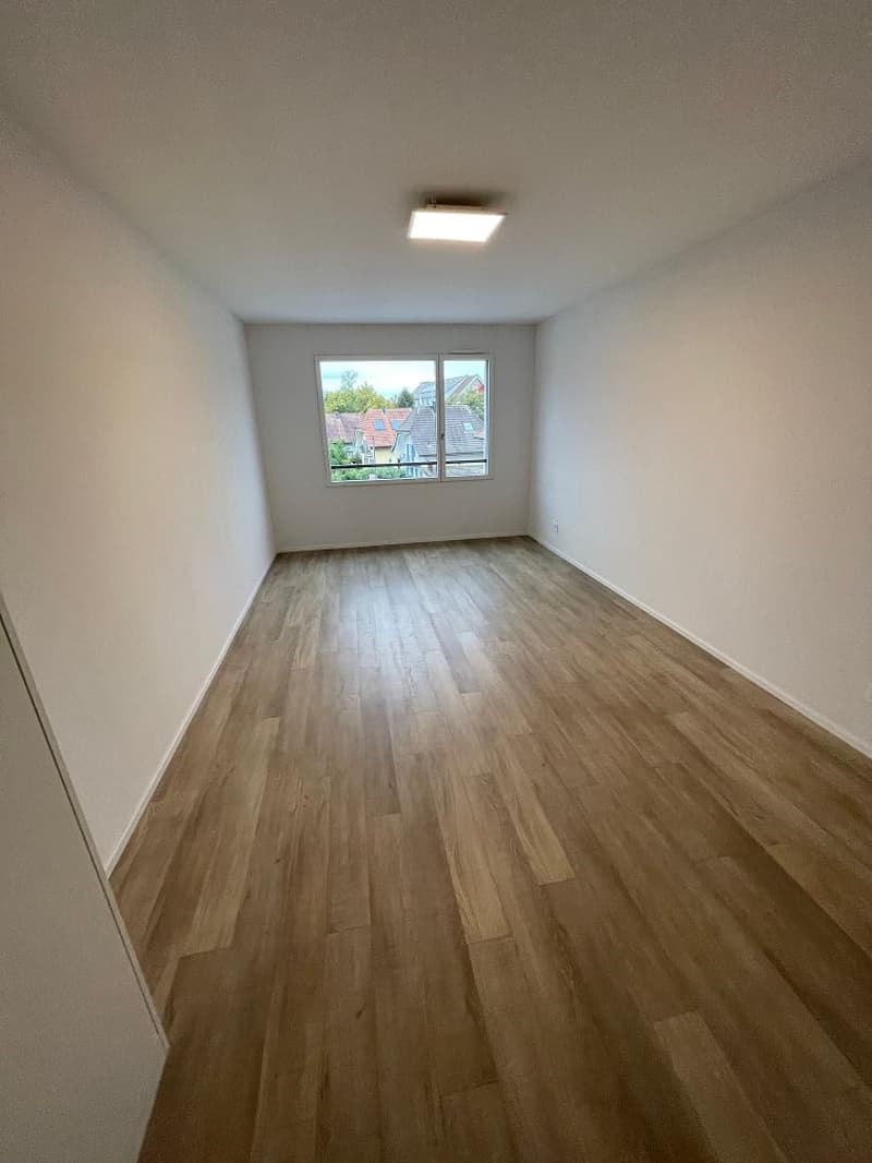 Einzelbüro / Atelier / Homeoffice (6)