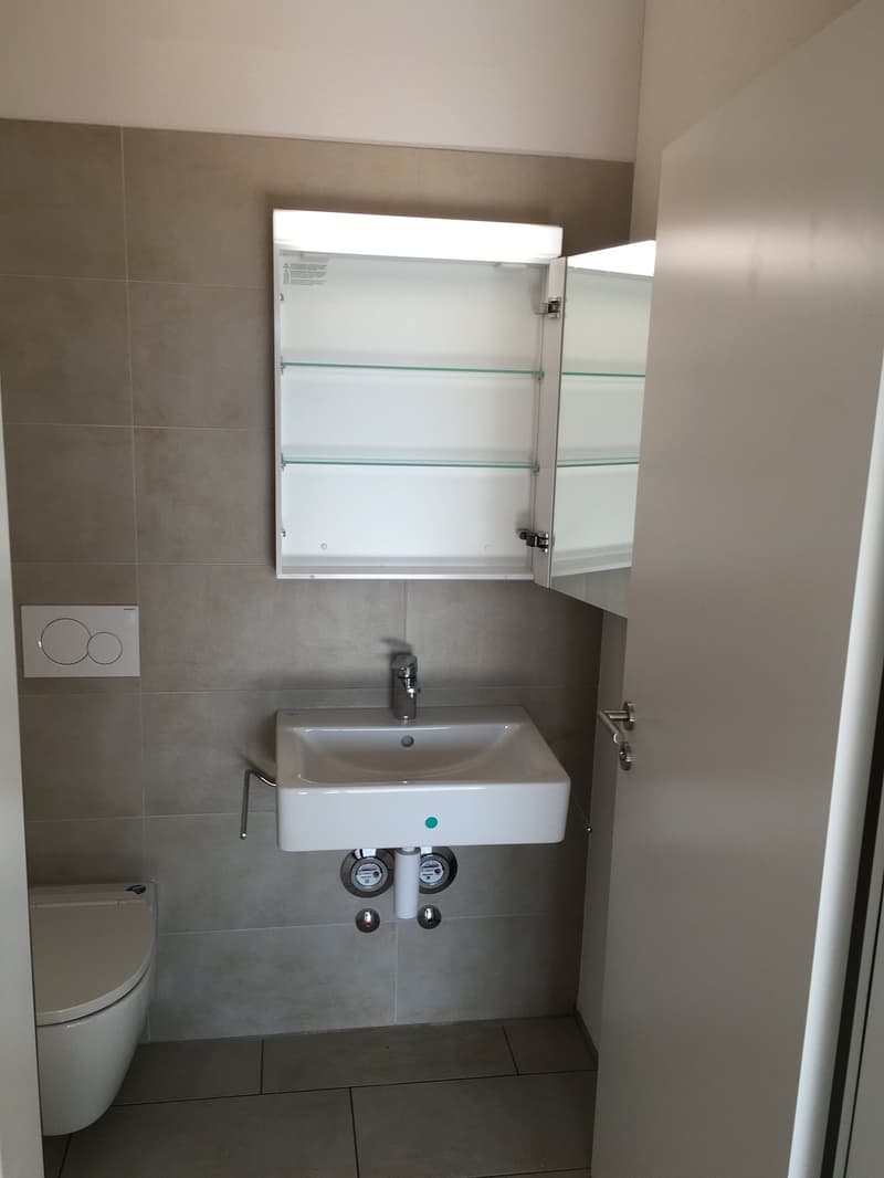Einzelbüro / Atelier / Homeoffice (3)