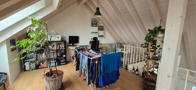 Grosszügige 3.5-Zimmer-Maisonette-Wohnung an ruhiger Lage in Witterswil zu vermieten! (7)