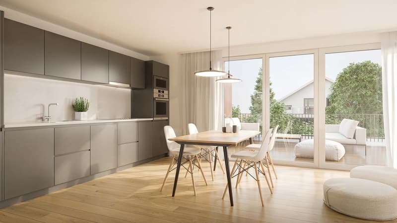 Erstvermietung! Moderne Attikawohnung mit 79m2 Sonnenplatz! (3)