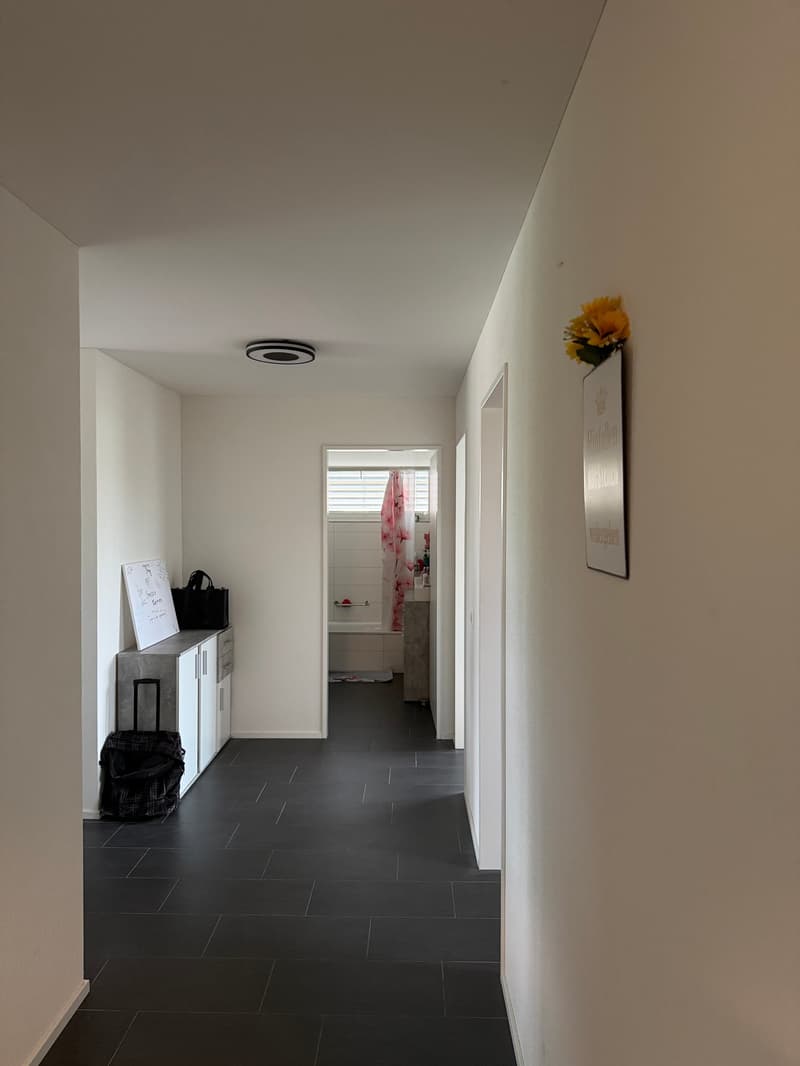 Moderne 3.5 Zimmerwohnung in Kappel zu vermieten! (4)