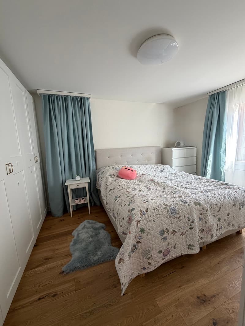 Charmante 4.5-Zimmer-Wohnung in Hergiswil zu verkaufen! (8)