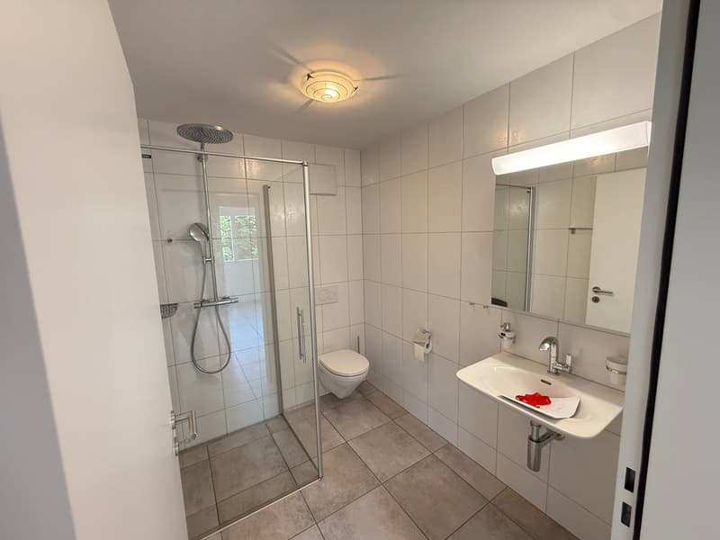 Neuwertige 4.5-Zimmer-Wohnung in Lostorf – Modern, Sonnig & Komfortabel (12)
