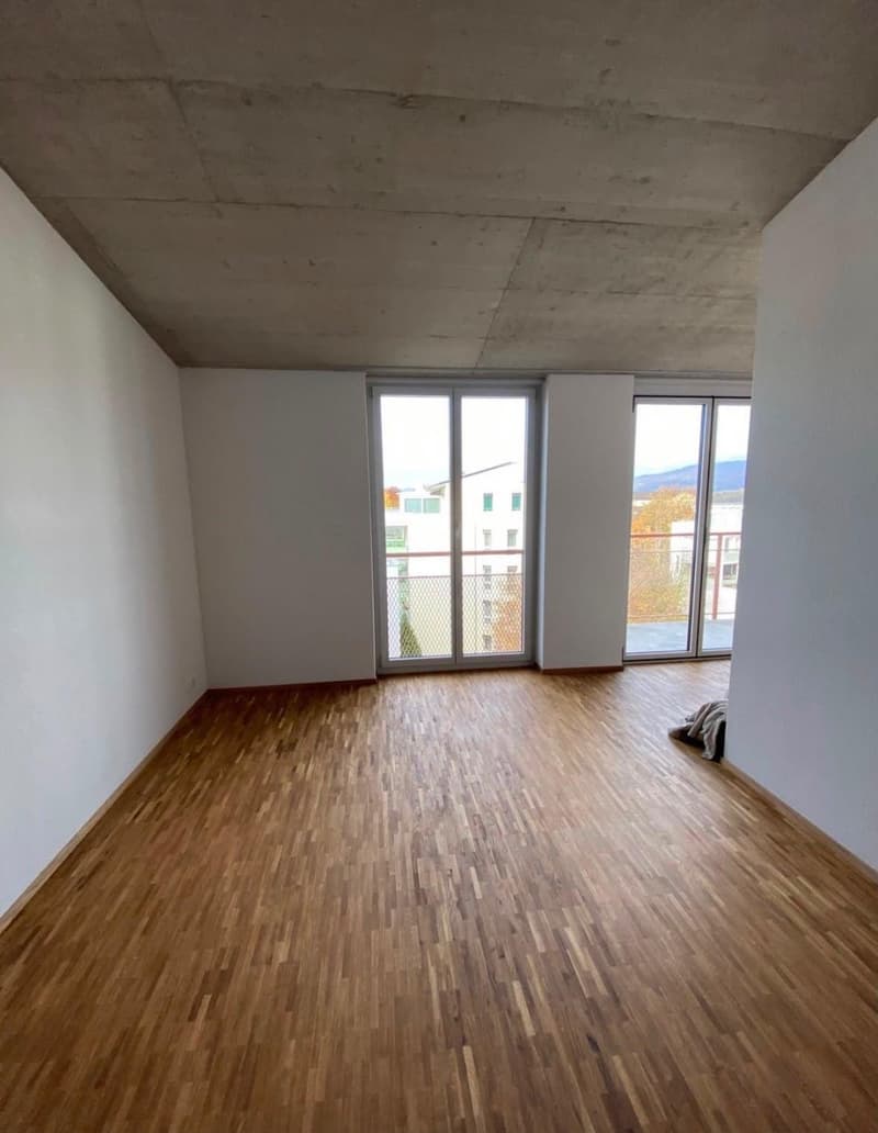 Nachmieter gesucht - zentrale Wohnung in Lenzburg zu vermieten! (6)