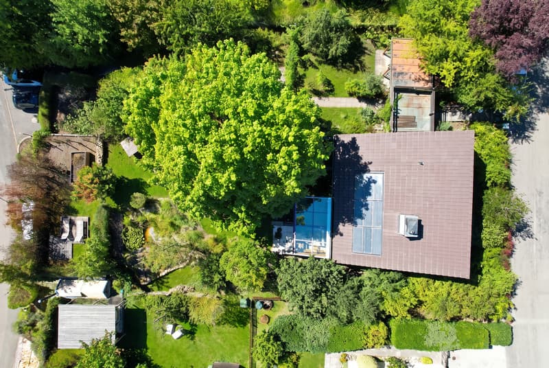 FREISTEHEND. FAMILIENFREUNDLICH. PER SOFORT. (7)