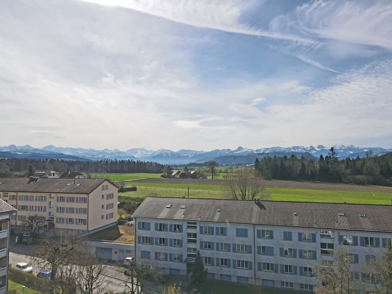 Helle 2.5-Zimmerwohnung mit Sicht auf die Alpenkette inklusive Einstell- und Aussenparkplatz (1)