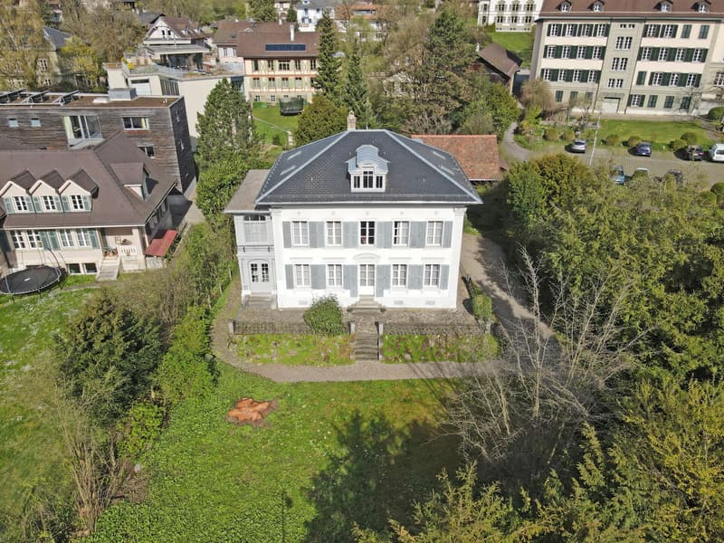Grosszügige Vorstadt-Villa "Joliette" mit Gartenparadies (2)