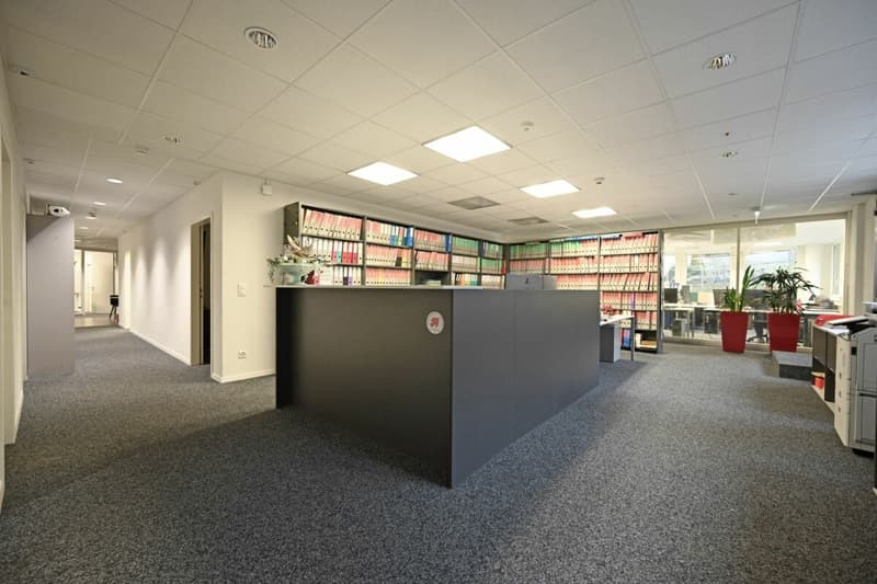 Espace de bureau spacieux et aménagé au Mattenhof (6)