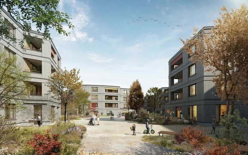 Duplex-Wohnung im Neubau "Feuerfalter" Köniz (4)