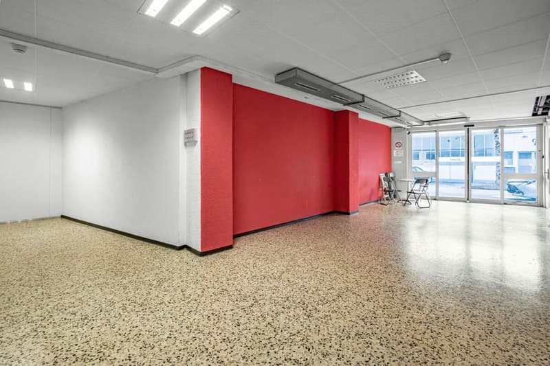 Proprietà commerciale con grande potenziale di sviluppo (11)