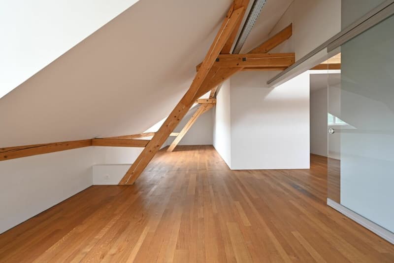 Grosszügige 2.5-Zimmer -Loftwohnung (6)