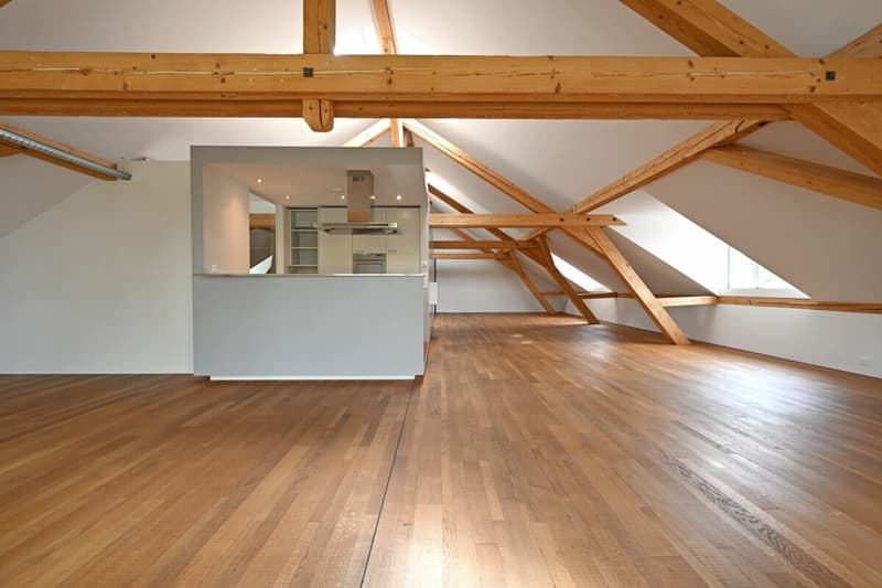 Grosszügige 2.5-Zimmer -Loftwohnung (4)