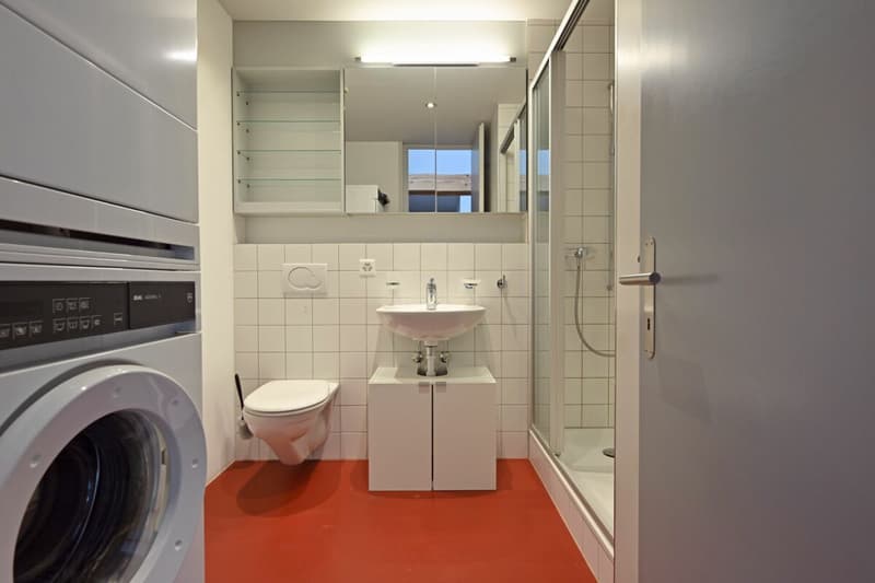 Grosszügige 2.5-Zimmer -Loftwohnung (8)