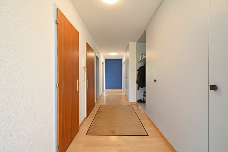 4.5-Zimmer-Attikawohnung mit Weitblick und grosser Terrasse (2)