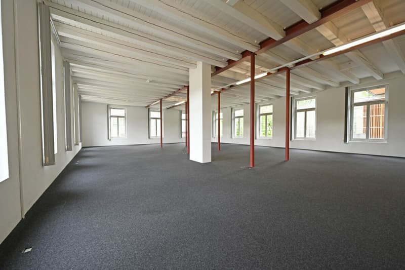 Geschäftslage mit optimaler Anbindung (3)