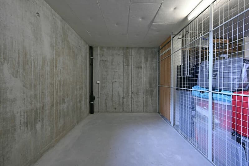 Grosszügige 5.5-Zimmerwohnung an zentraler Lage in Lyss (12)