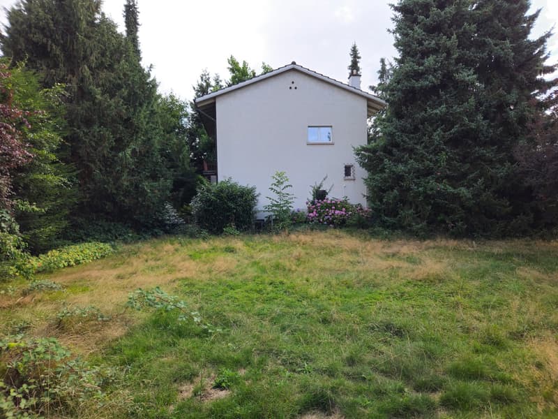 Single-story house, white exterior, raised ground floor, surrounded by lush greenery