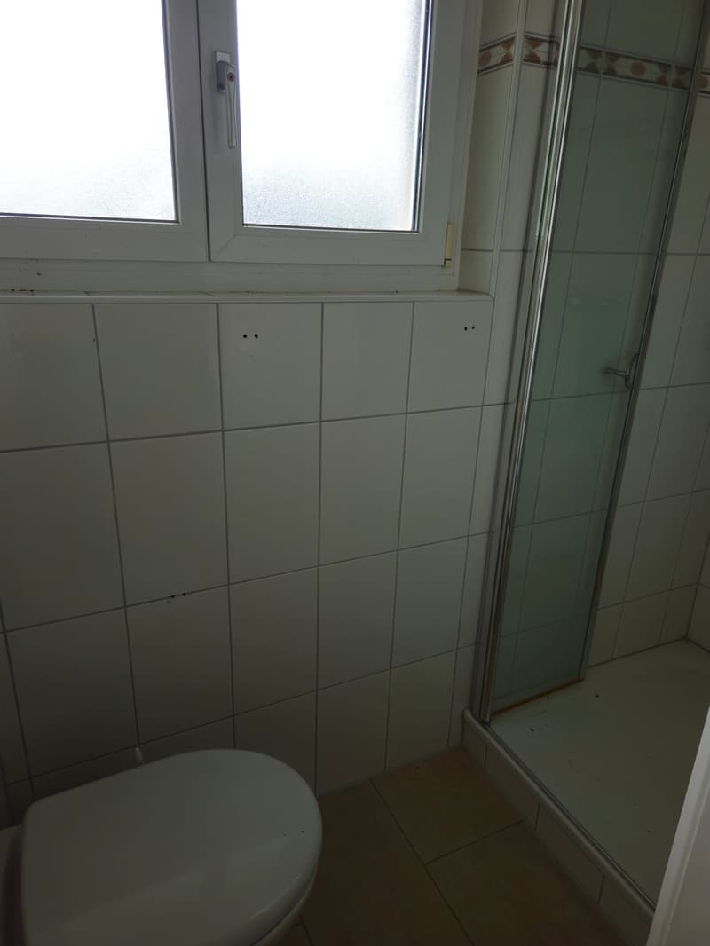 white toilet, white tiled walls, clear glass shower, wooden floor