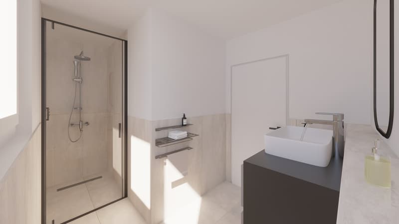 Appartamento attico moderno 3.5 locali in una posizione centrale tranquilla a Ziefen con parcheggio sotterraneo (11)