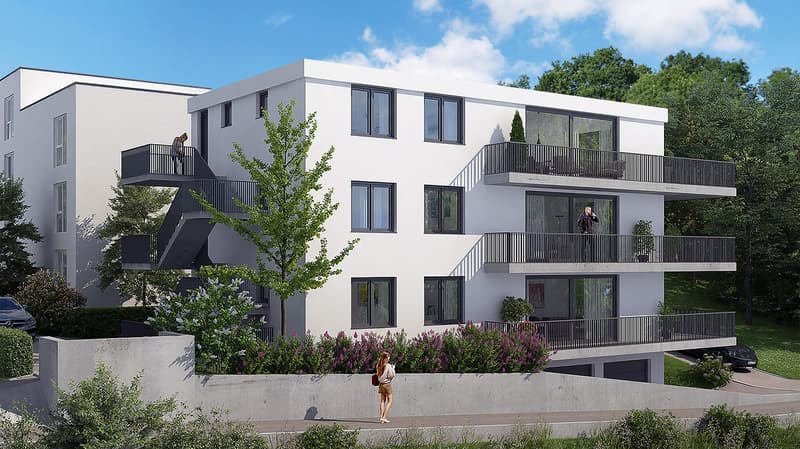 Moderne 3.5-Zimmer-Neubau-Wohnung mit Balkon und Garage in Dornach (2)